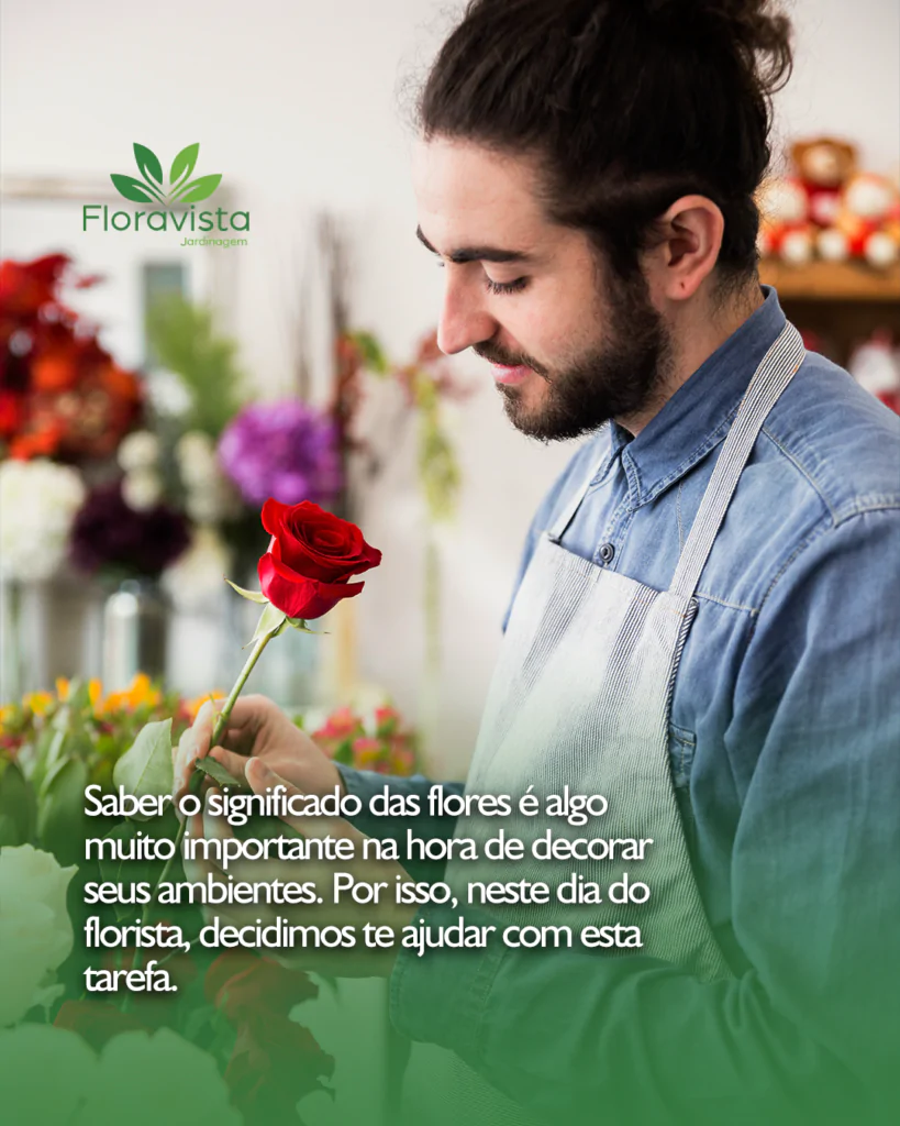 1 feed flores e significados floravista 2