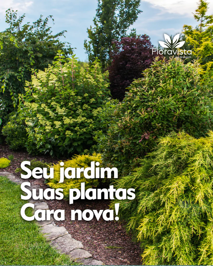 3 feed seu jardim suas plantas floravista